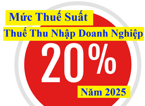 Thuế suất thuế TNDN năm 2024 mới nhất